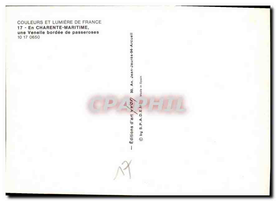 CPM En Charente Maritime une Venelle bordee de passeroses  — Back