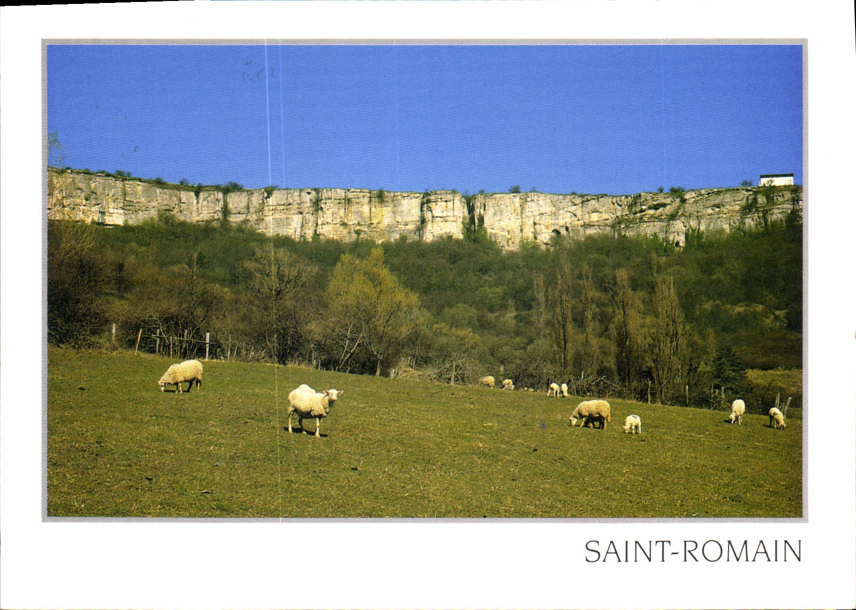 CPM Saint Romain Cote d'Or Les falaises du Verger 