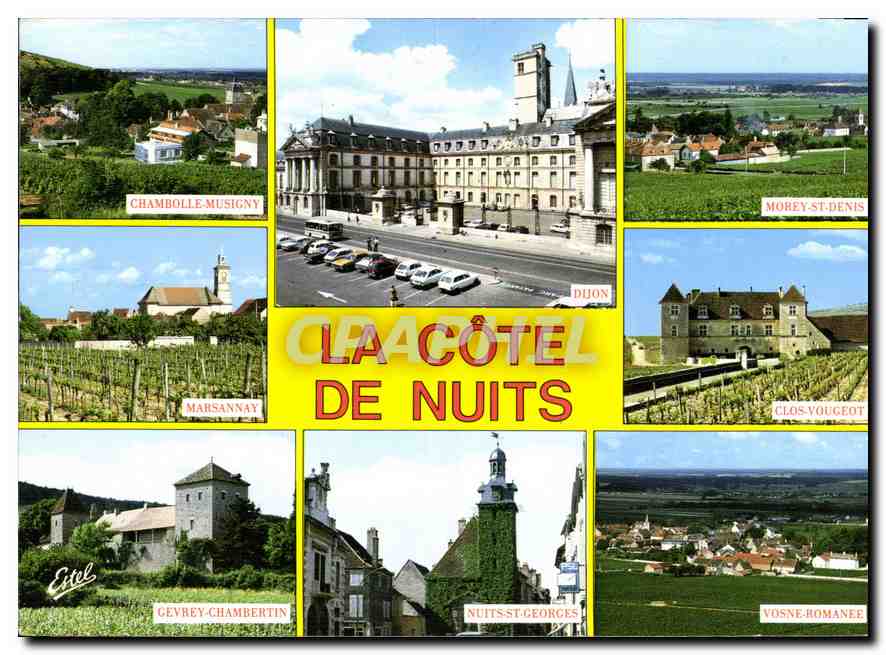CPM Au Pays des Grands Crus La Cote de Nuits Cote d'Or 