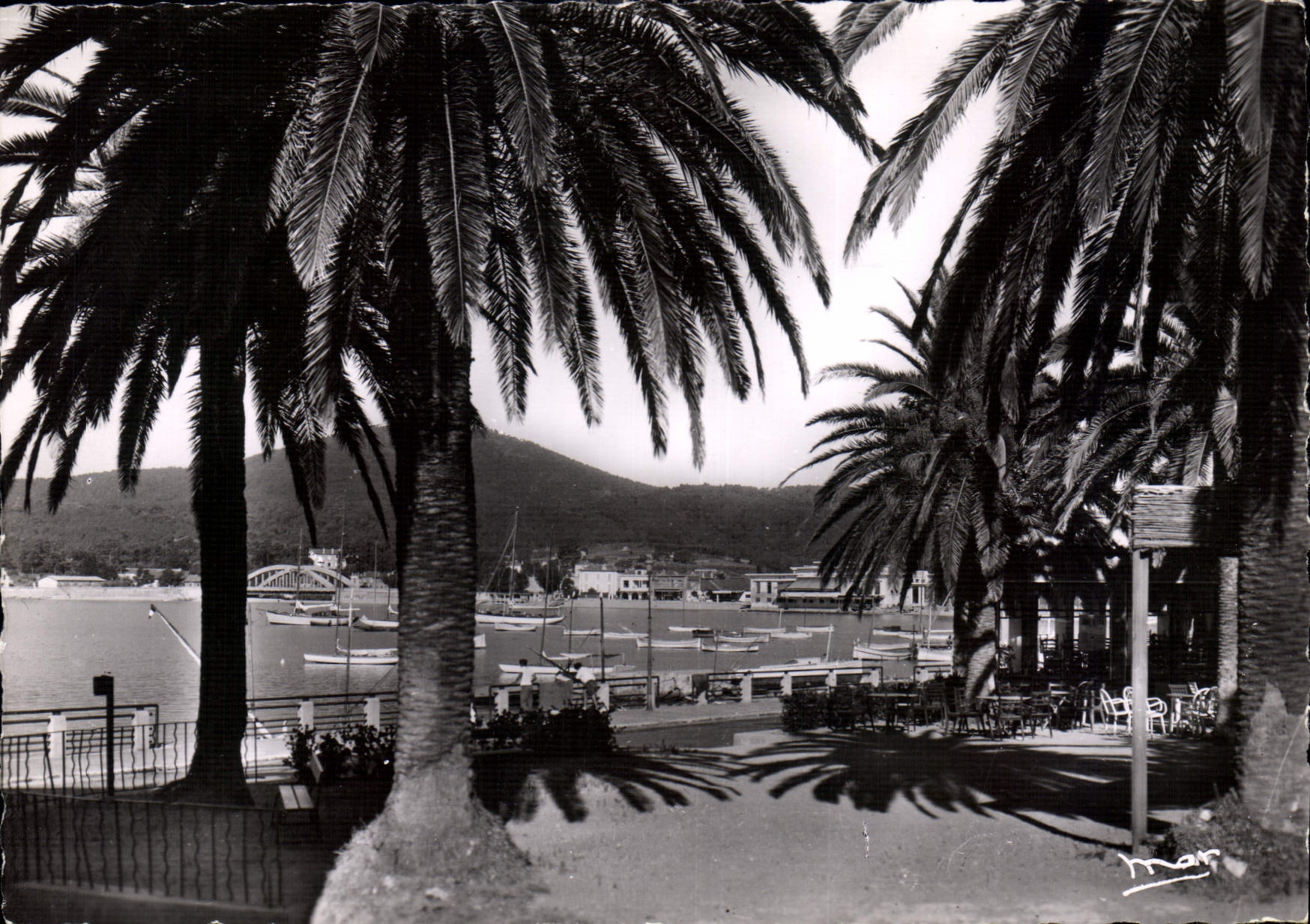 CPM La Cote d'Azur Ste Maxime sur Mer Vue prise de la Place des Palmiers 