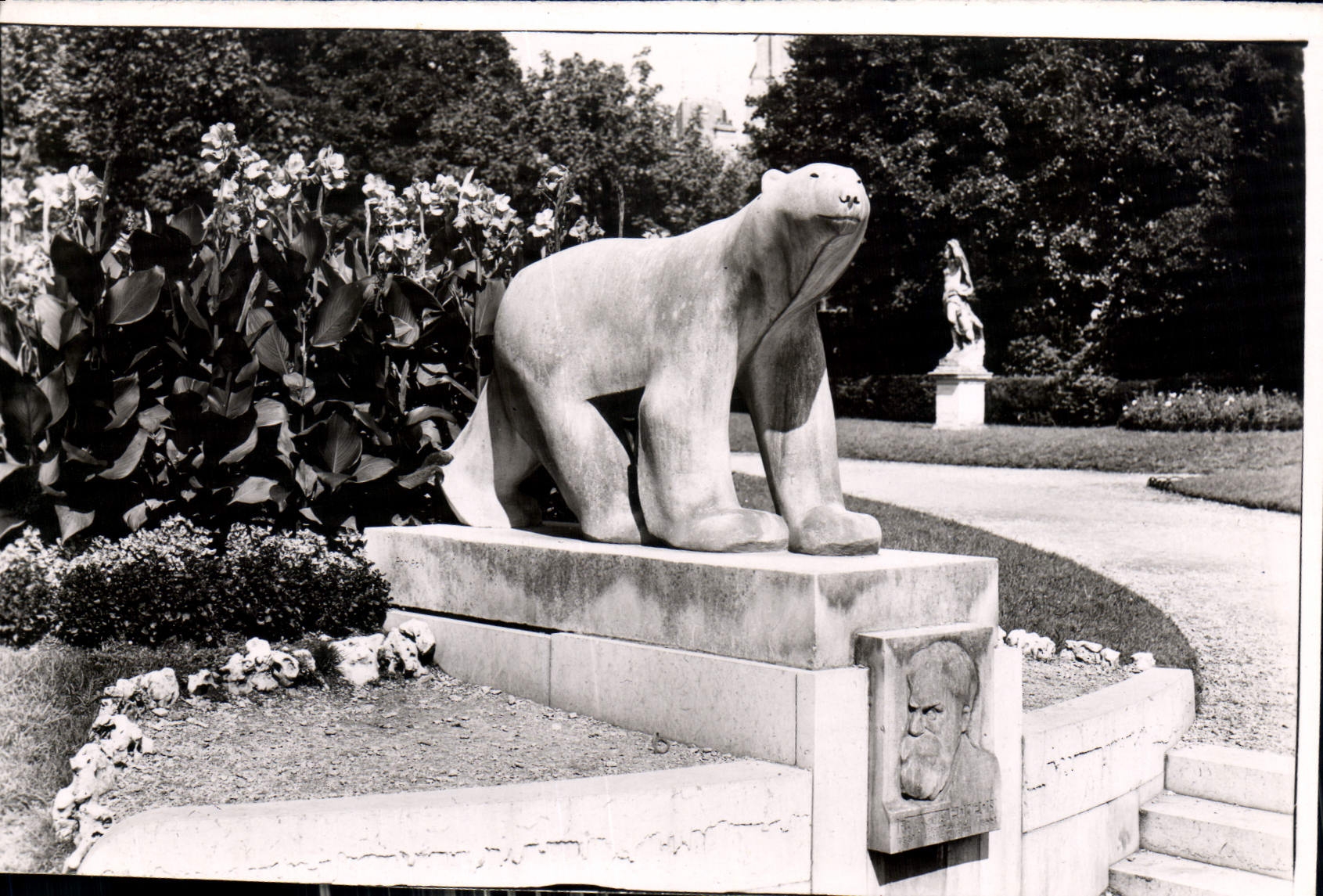 CPM Dijon Cote d'Or Jardin Darcy l'Ours de Pompon Ours Blanc