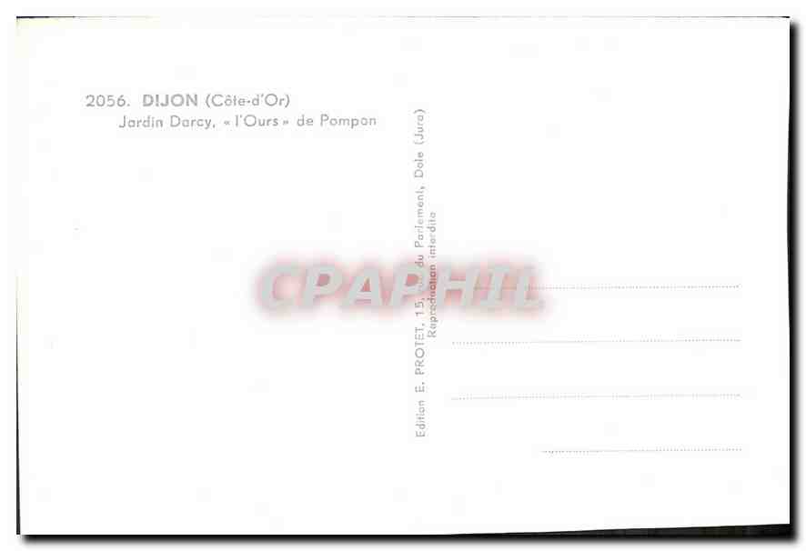 CPM Dijon Cote d'Or Jardin Darcy l'Ours de Pompon Ours Blanc — Rückseite
