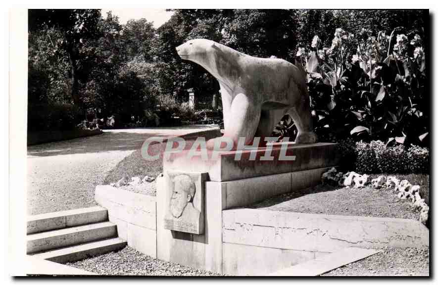 CPM Dijon Cote d'Or Promenade Darcy L'Ours de Pompon Ours Blanc