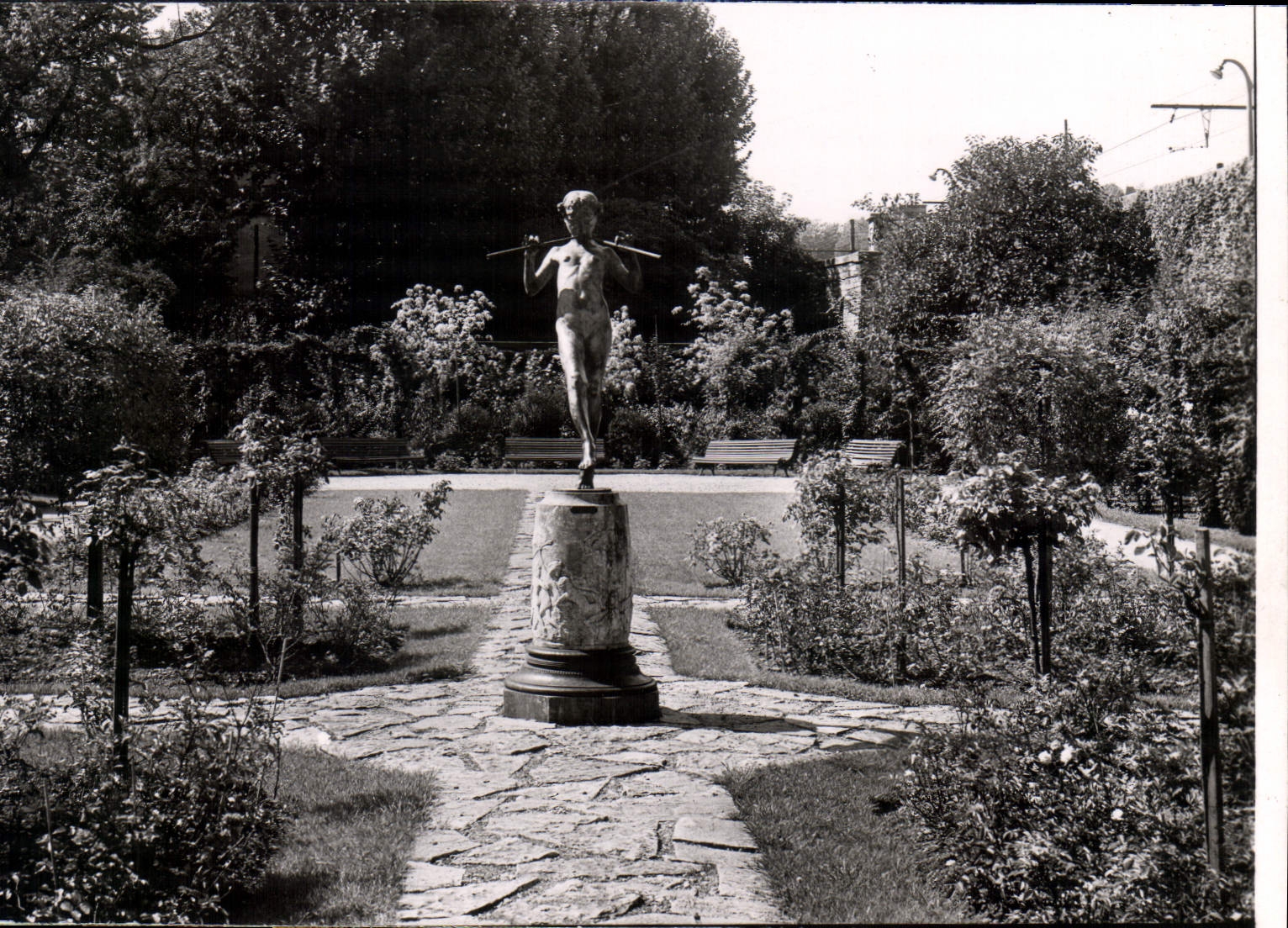 CPM Dijon Cote d'Or Jardin de l'Arquebuse La Roseraie 