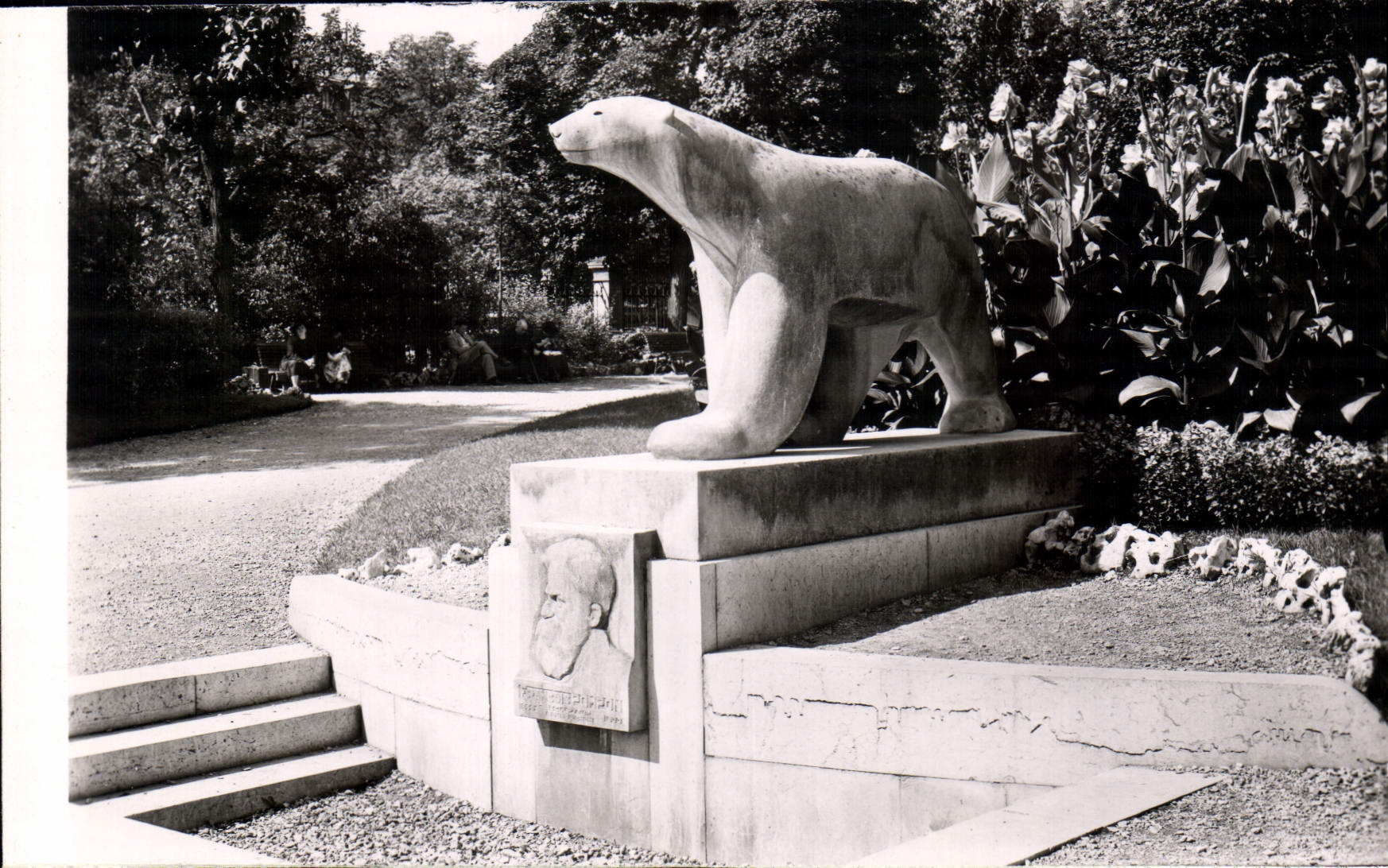 CPM Dijon Cote d'Or Promenade Darcy L'Ours de Pompon 