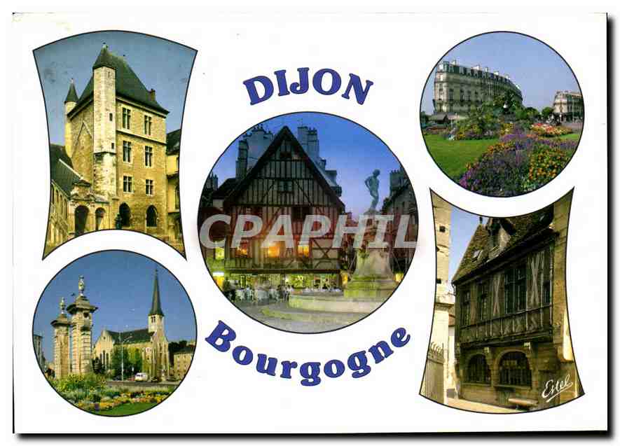 CPM Dijon Cote d'Or Palais des ducs de Bourgogne 