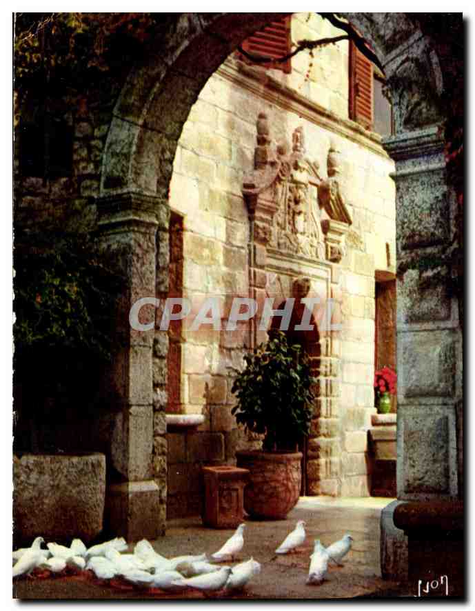 CPM La Cote d'Azur un miracle de la nature Les Colombes blanches de Saint Paul Alpes Maritimes 