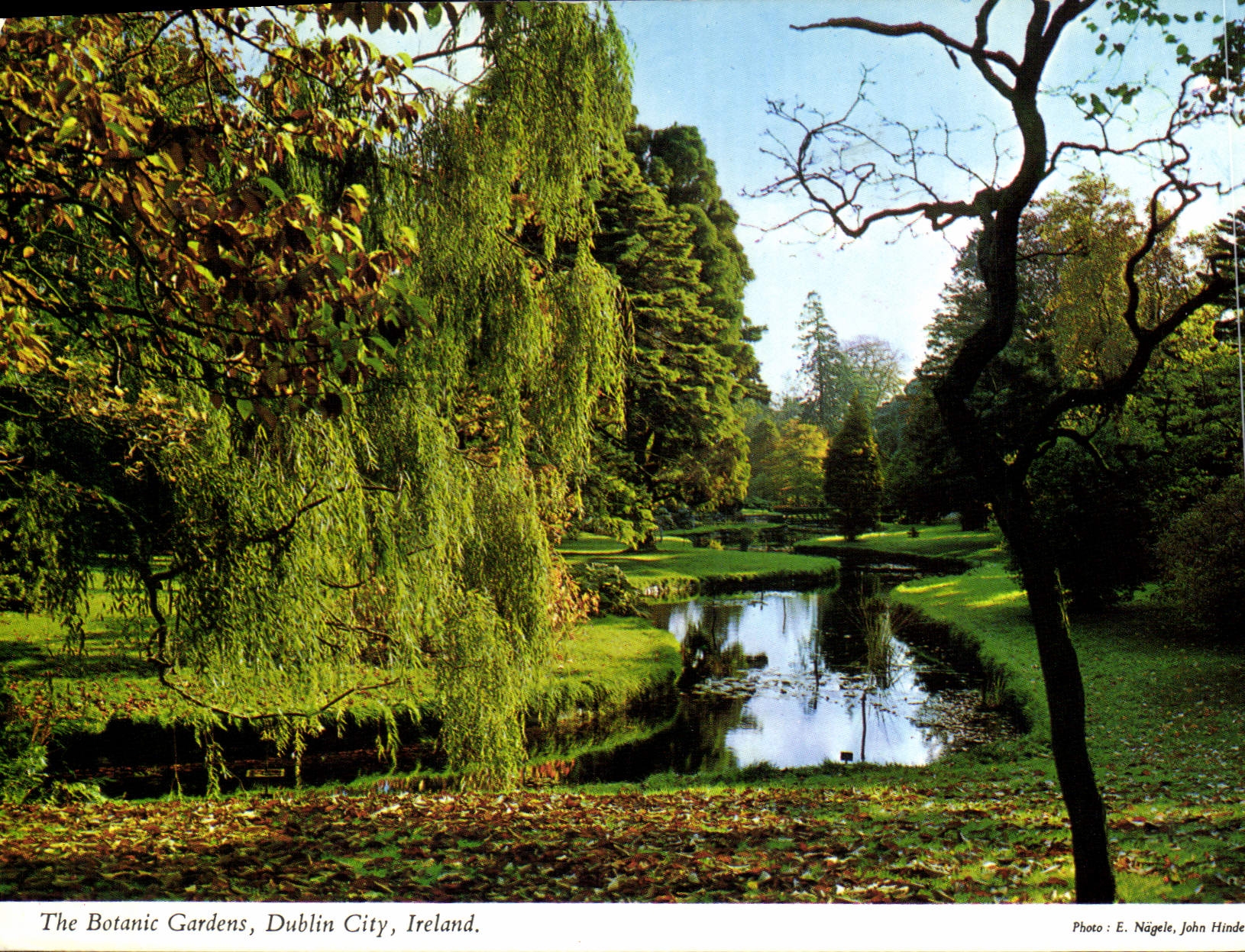 CPM The Botanic Gardens Dublin City Ireland 