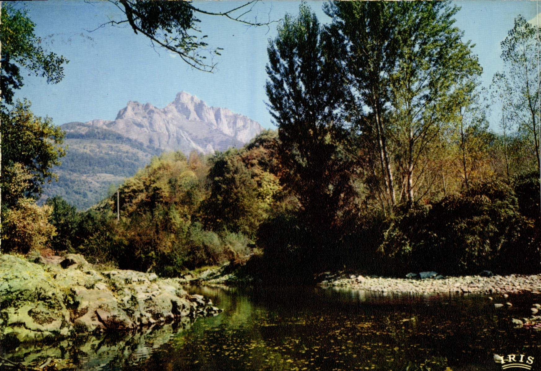 Le Pin du Gar (Altitude 1785 m) — Haute-Garonne — Édition IRIS