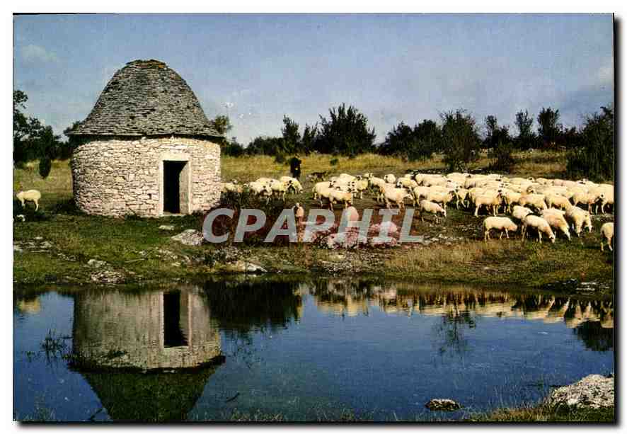 Près de Gramat — Abris de berger et moutons caussenards — Éditions de Larrieu