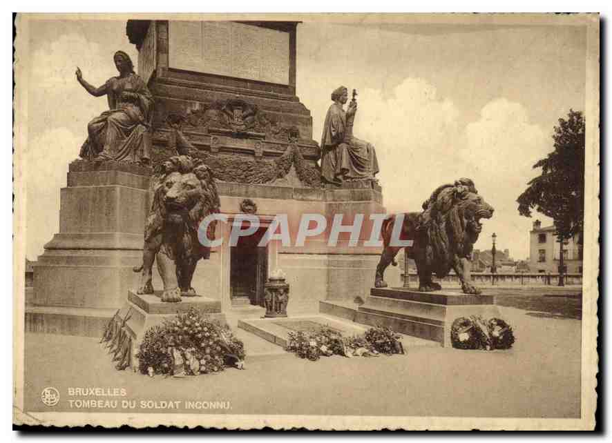 CPM Bruxelles Tombeau du Soldat Inconnu Lion Militaria