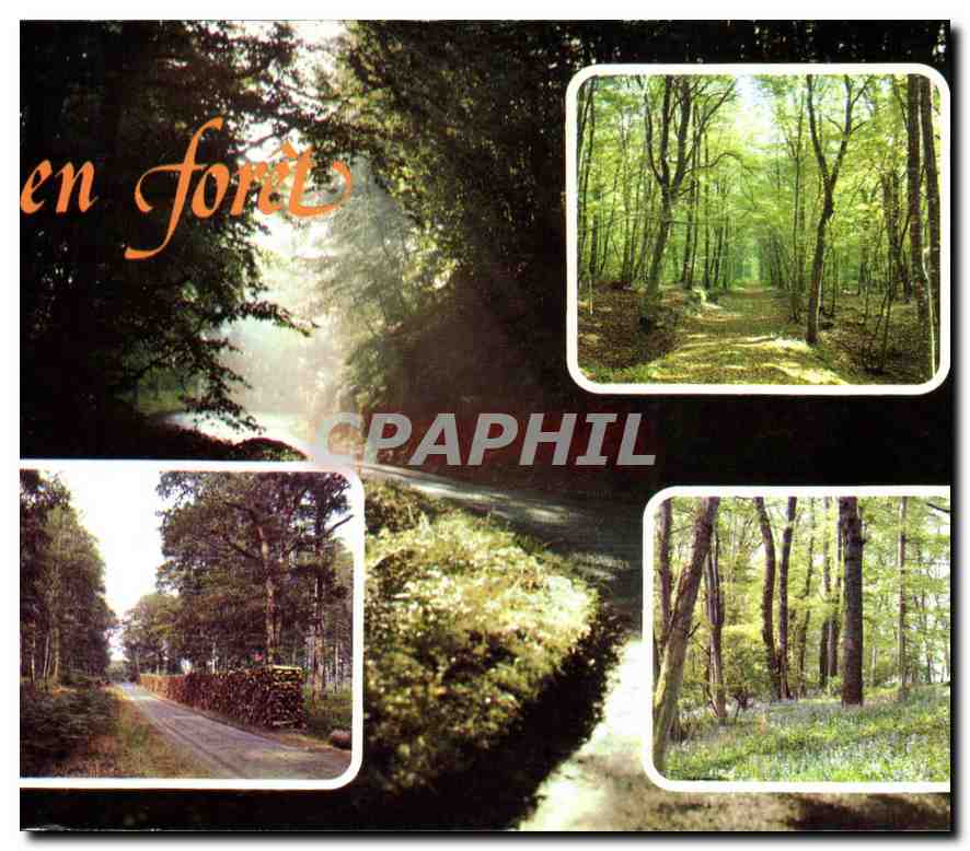 CPM En Foret 