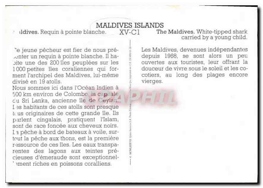 CPM Maldives Islands Maldives Requin a pointe blanche  — Rückseite