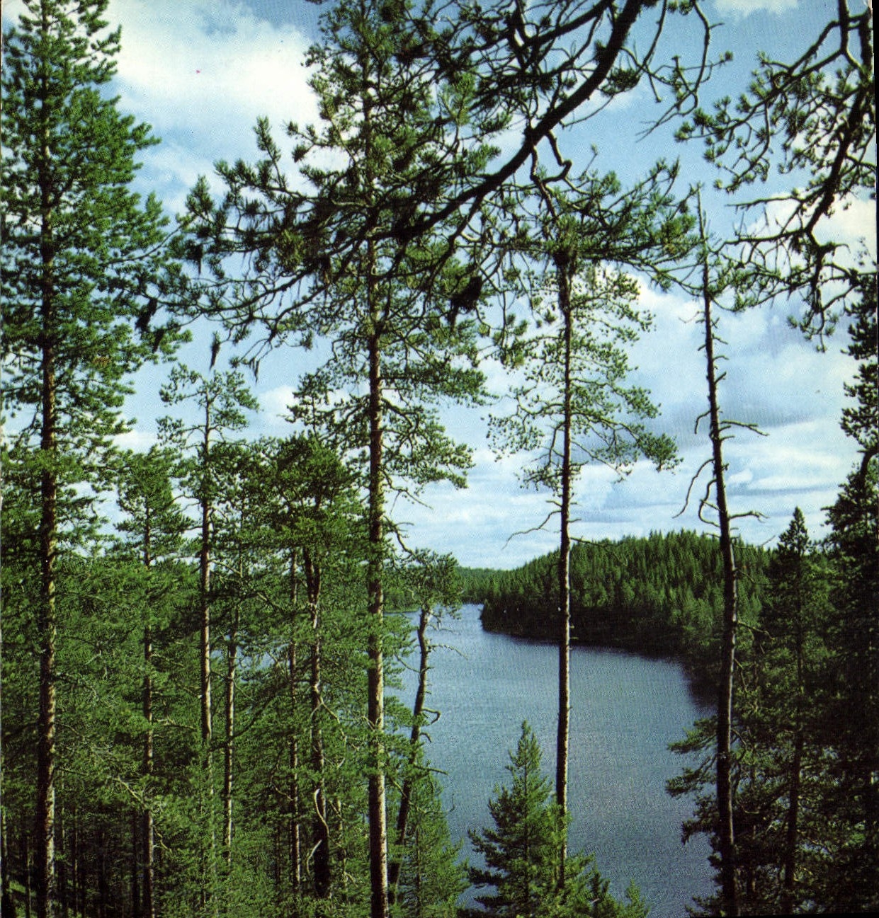 CPM Suomussalmi Hossa Finland 