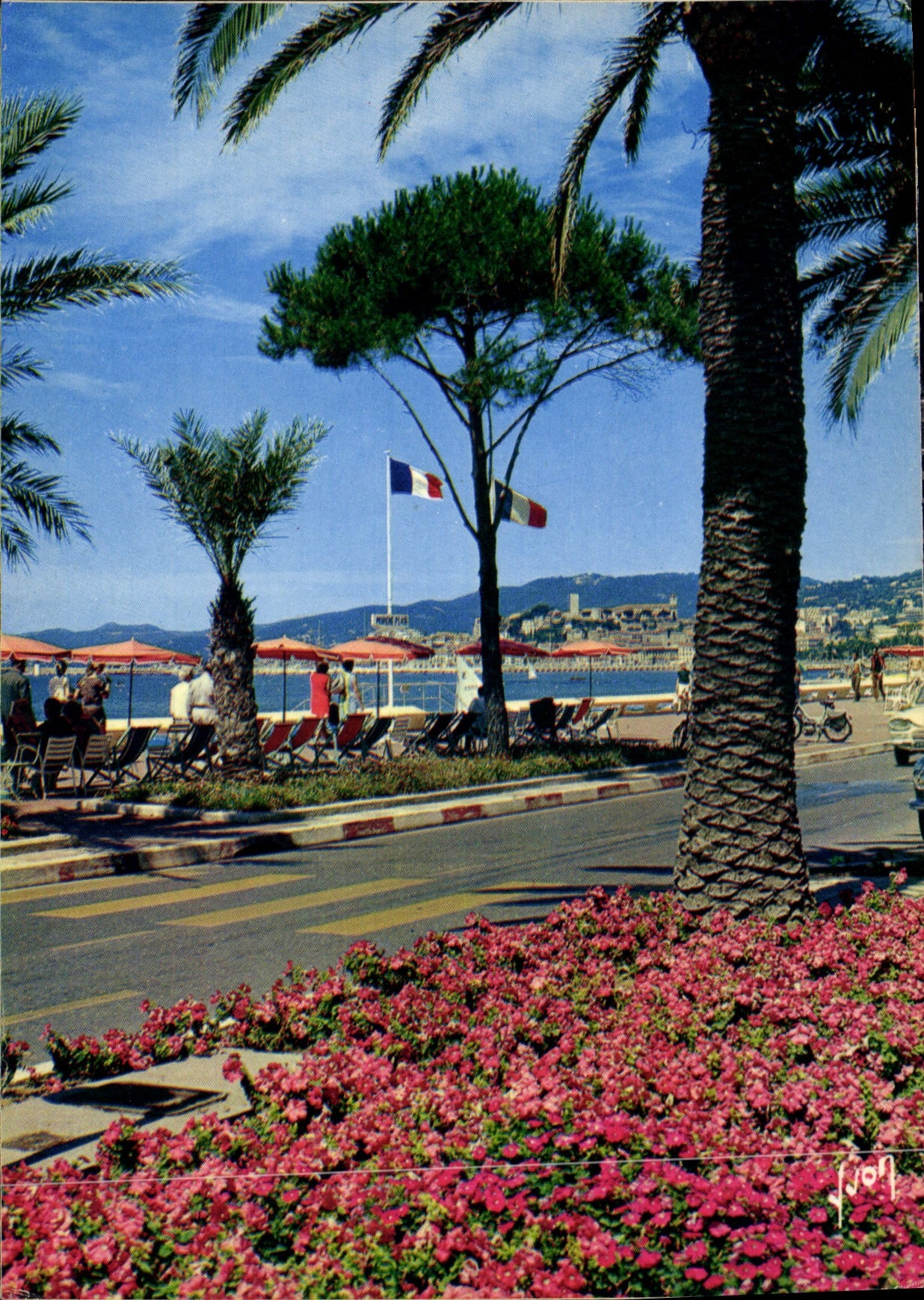 CPM Couleurs et lumiere de France la Cote d'Azur miracle de la nature Cannes Alpes Maritimes la croi
