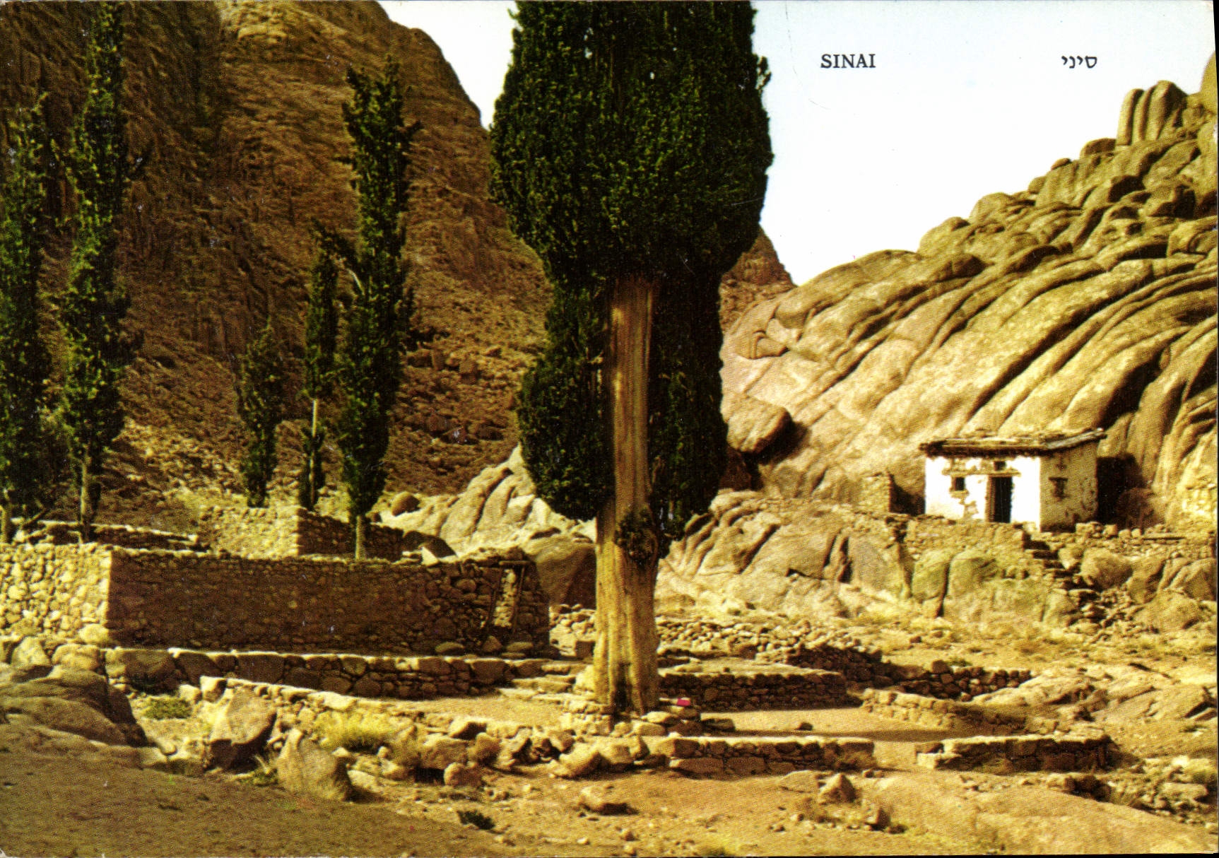 CPM Sinai Elia's church nearby an ancient cypress tree at the foot of Jabel Musa 