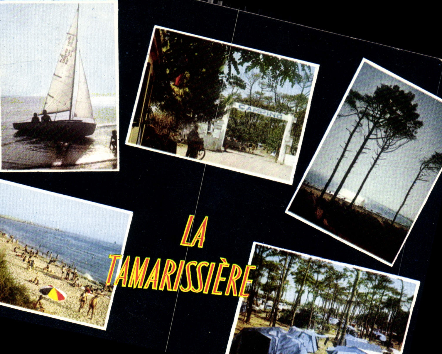 CPM La Tamarissiere Herault 