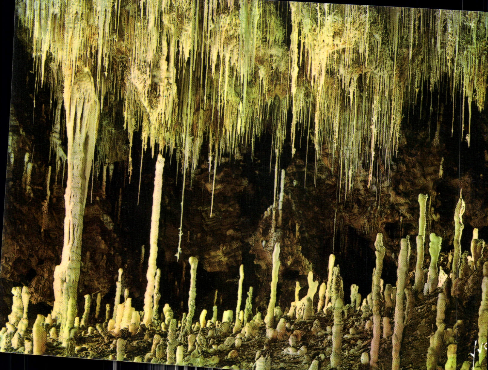 CPM Couleurs et lumiere de France Clamouse grotte prestigieuse a 1 heure des Plages du Languedoc Rou
