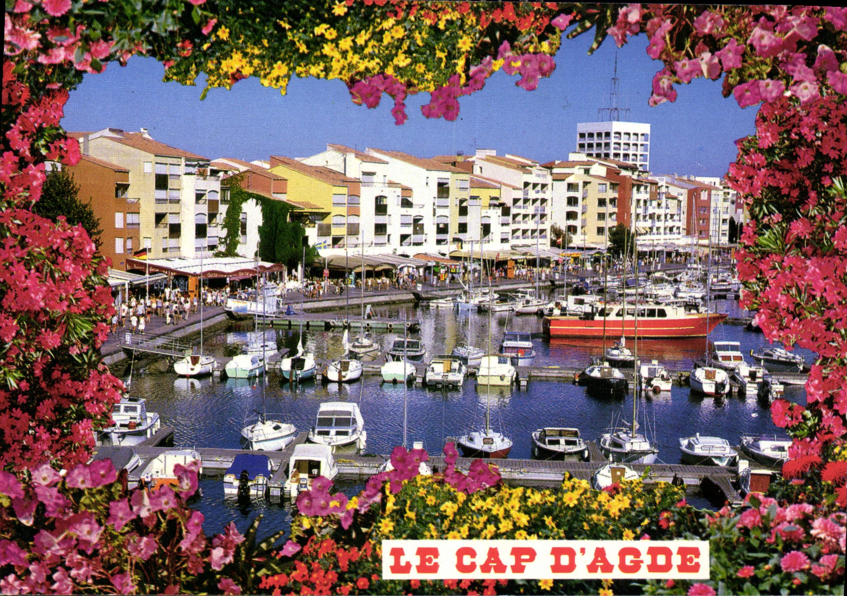CPM En Parcourant la Cote Mediterraneenne le Cap d'Agde Herault 