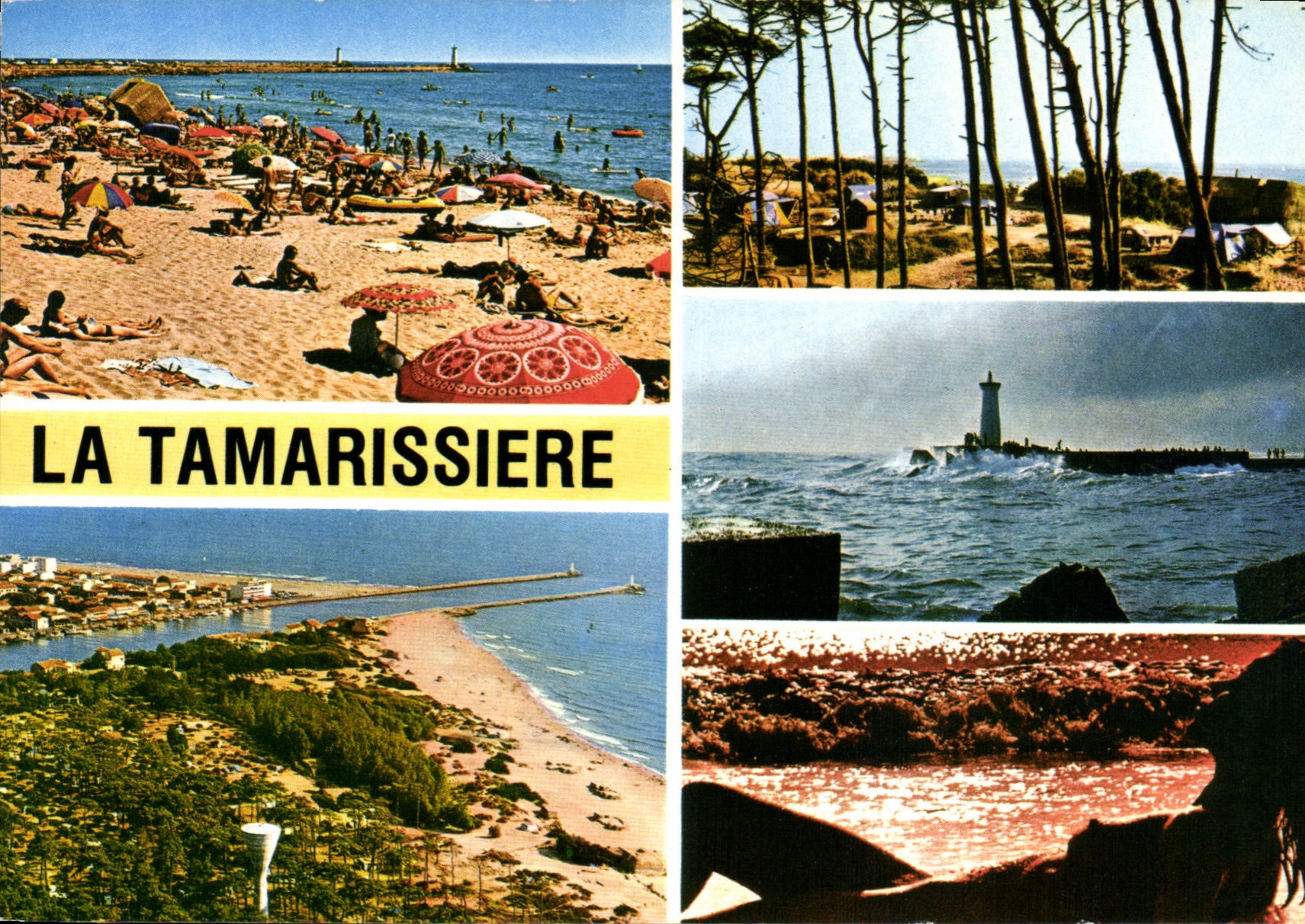 CPM En Parcourant la Cote Mediterraneenne La Tamarissiere Herault 
