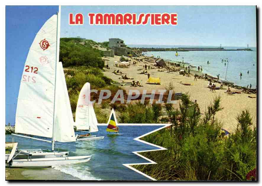 CPM En Parcourant la Cote Mediterraneenne La Tamarissiere Herault 