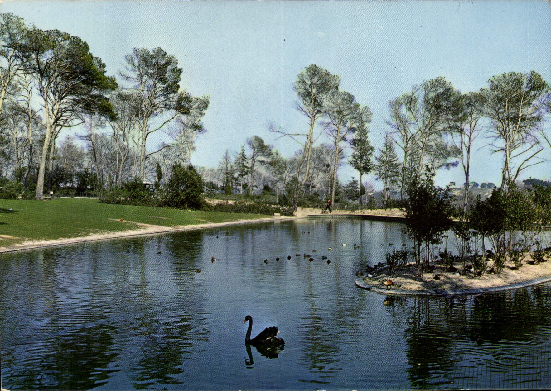 CPM Au soleil du Languedoc Montpellier Herault le Parc Lunaret 