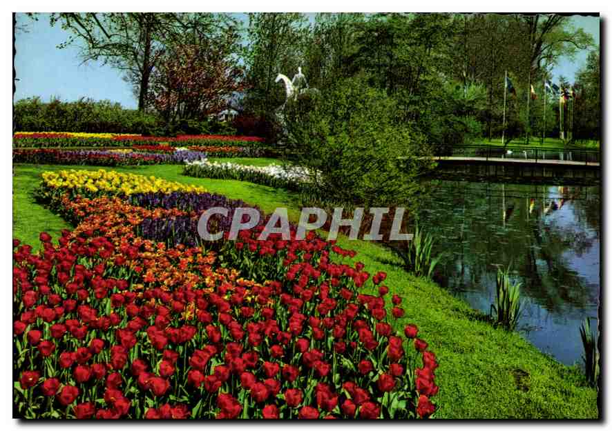 CPM Holland Land of Flowers 
