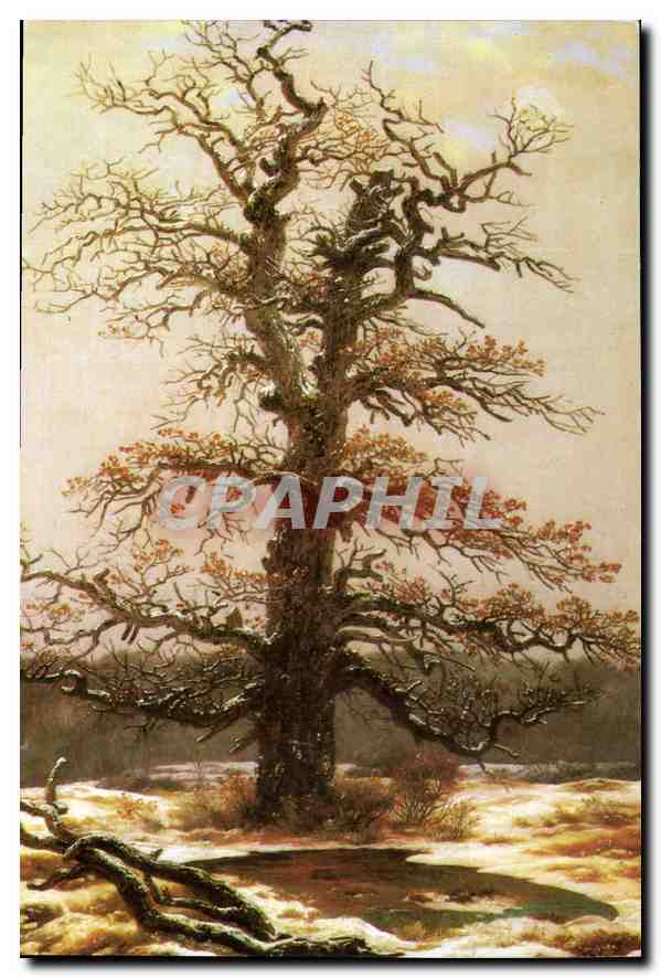 CPM Casper David Friedrich chene sous la neige Cologne Wallraf Richartz Museum 