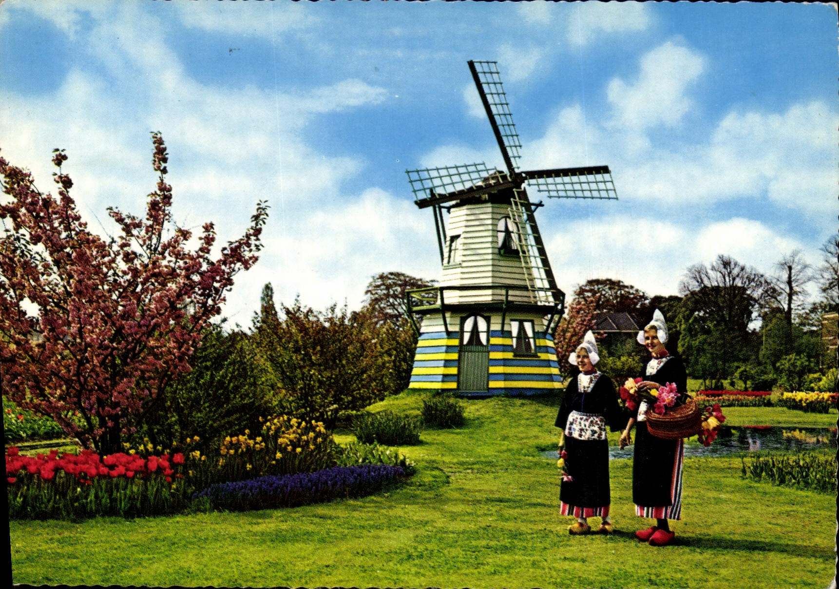 CPM Holland Land of Flowers and Wind mills 