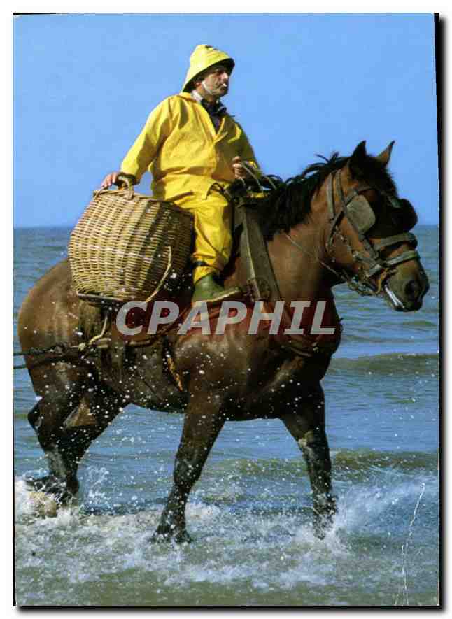 CPM Garnaalviseer te Paard Pecheur de crevettes a cheval 