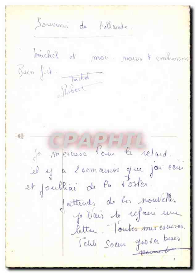 CPM Fleurs Hollande — Verso