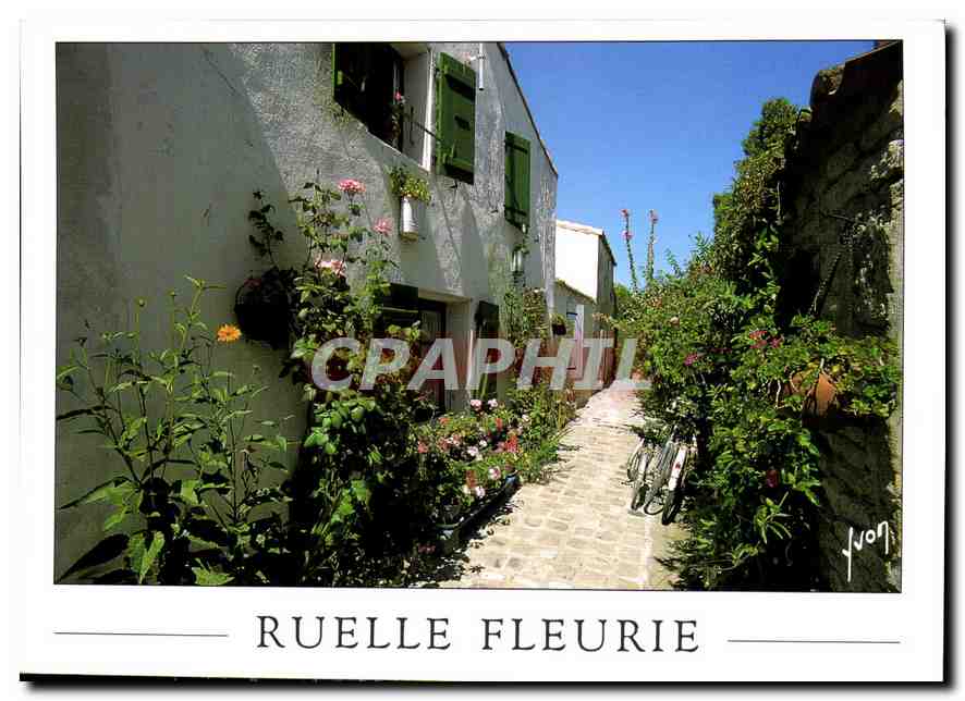 CPM Couleurs et Lumiere de France Ruelle Fleurie 