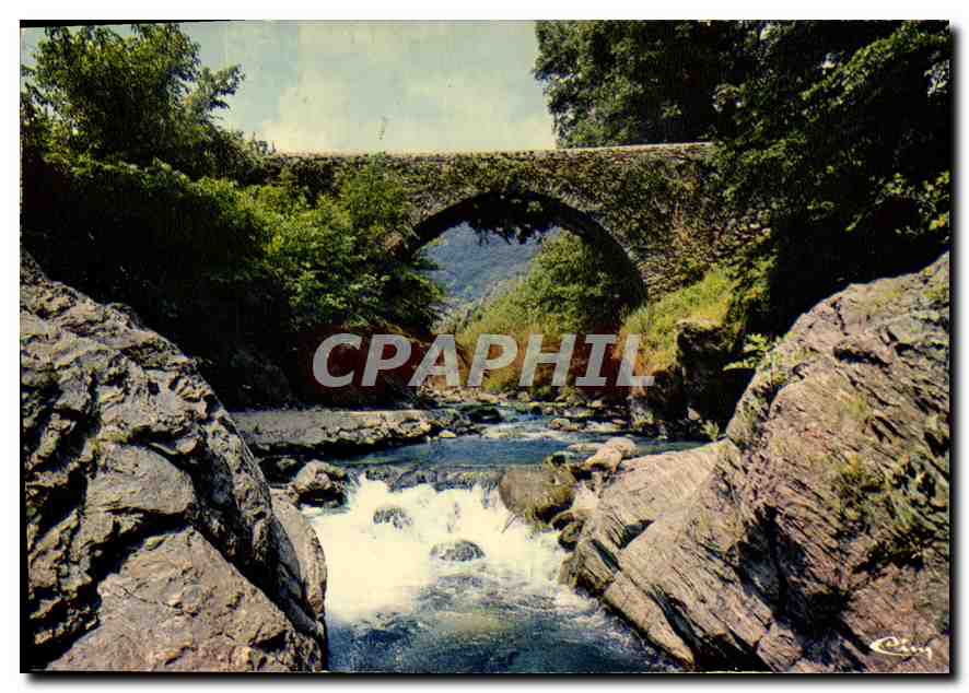 CPM En Cevennes la Haute Vallee de l'Herault Gard Vieux Pont 