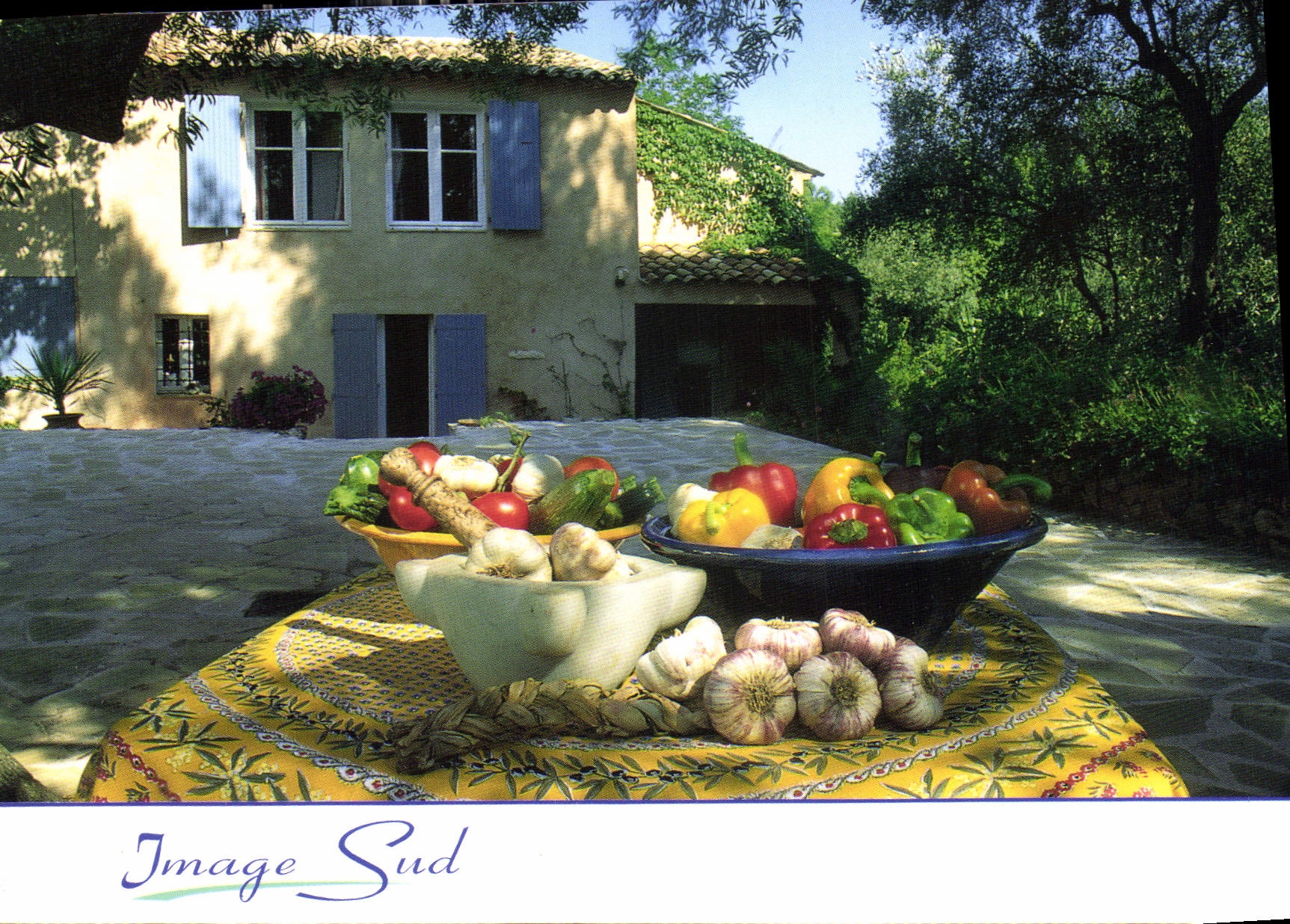 Marché provençal — légumes frais — Image Sud - Anverso