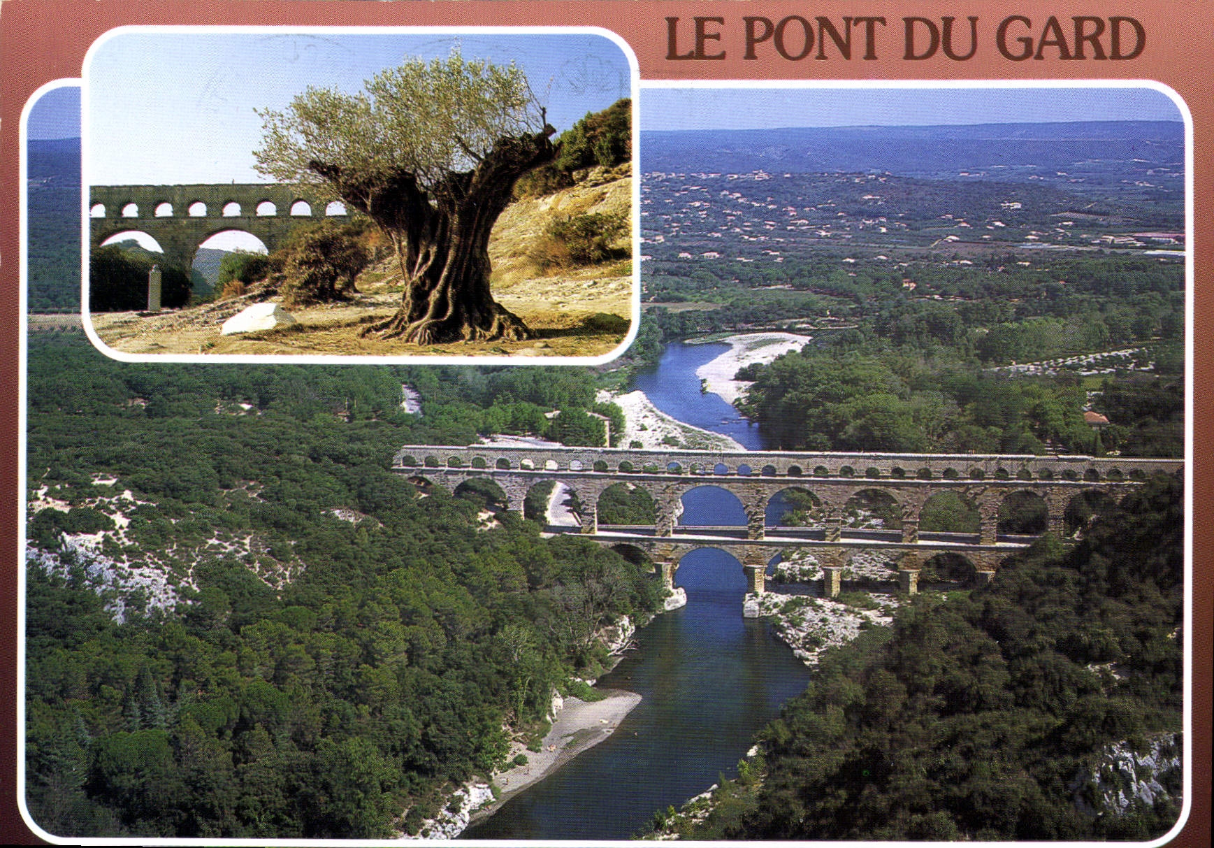 Le Pont du Gard — vue panoramique et détail de l'olivier millénaire — Éditions du Pont du Gard