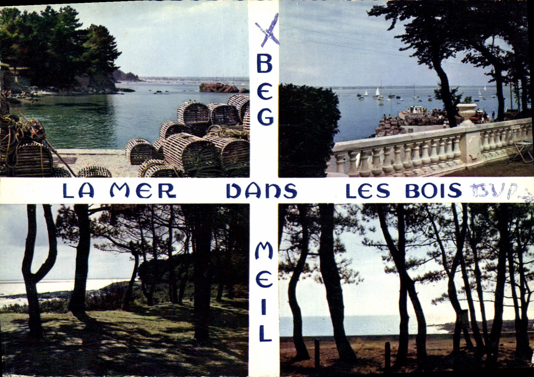 CPM La Bretagne en couleurs Beg Meil Sud Finistere la mer dans les bois au port et sur les dunes 