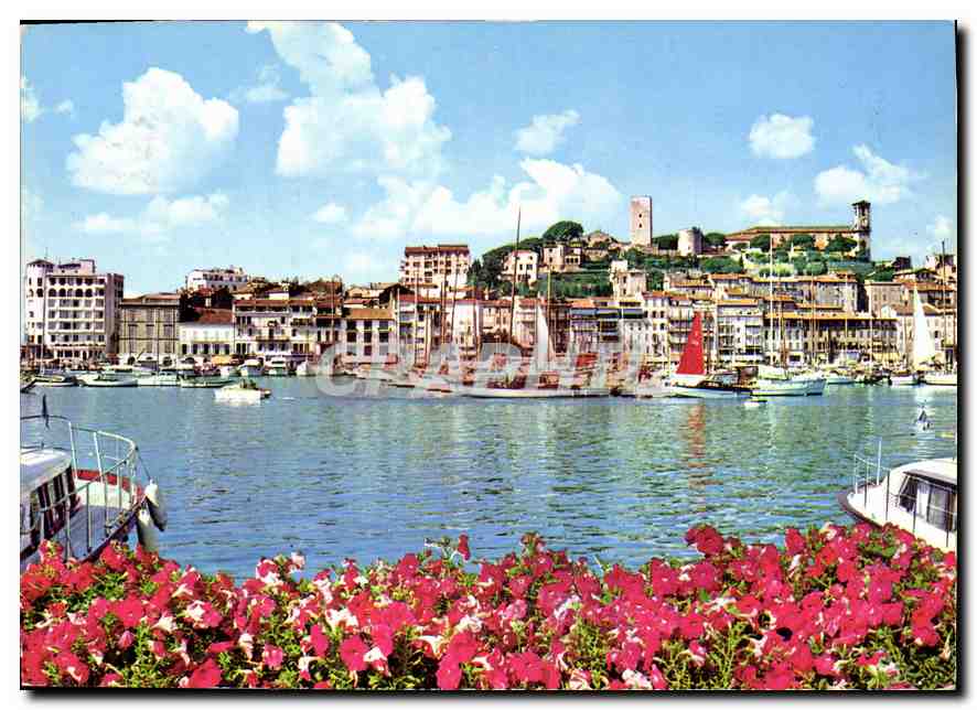 CPM Cannes cote d'Azur le Vieux port et le Suquet 