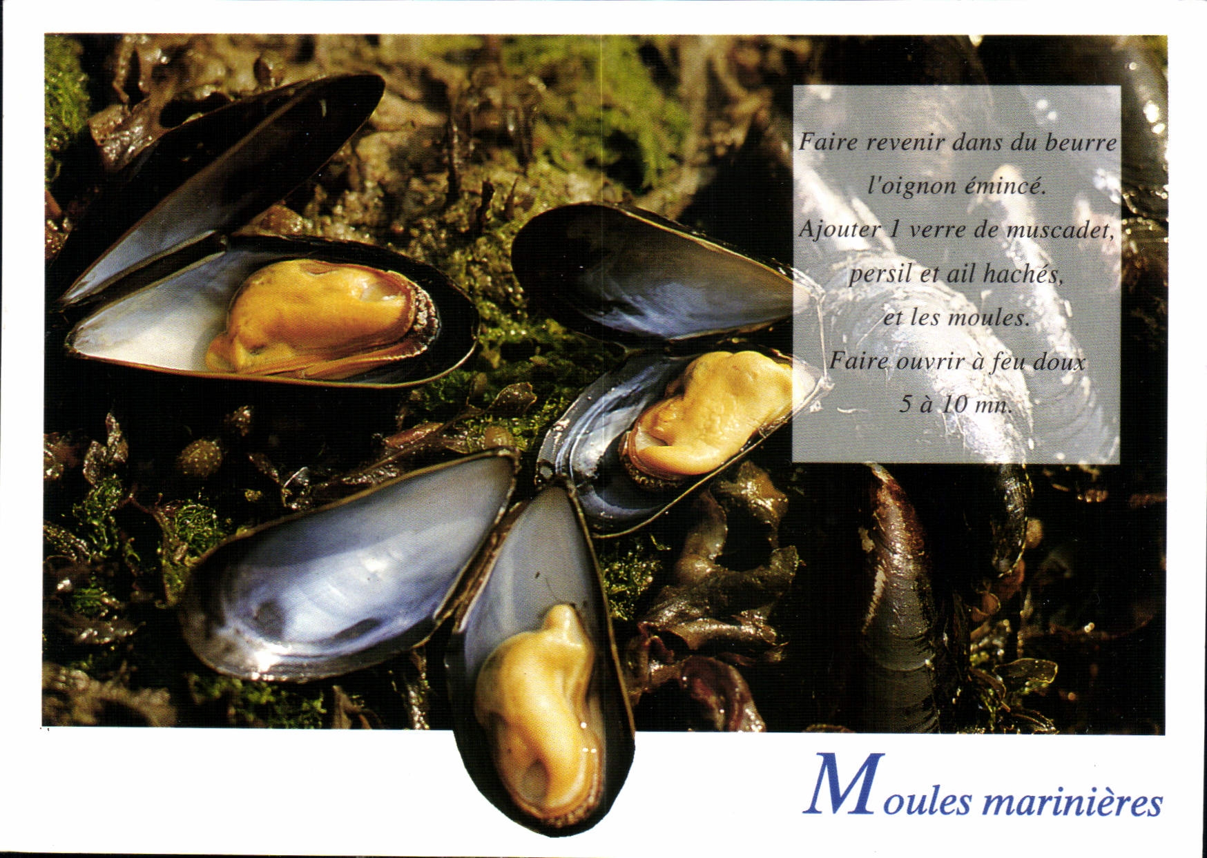 CPM Gastronomie en Bretagne Moules Marinieres 
