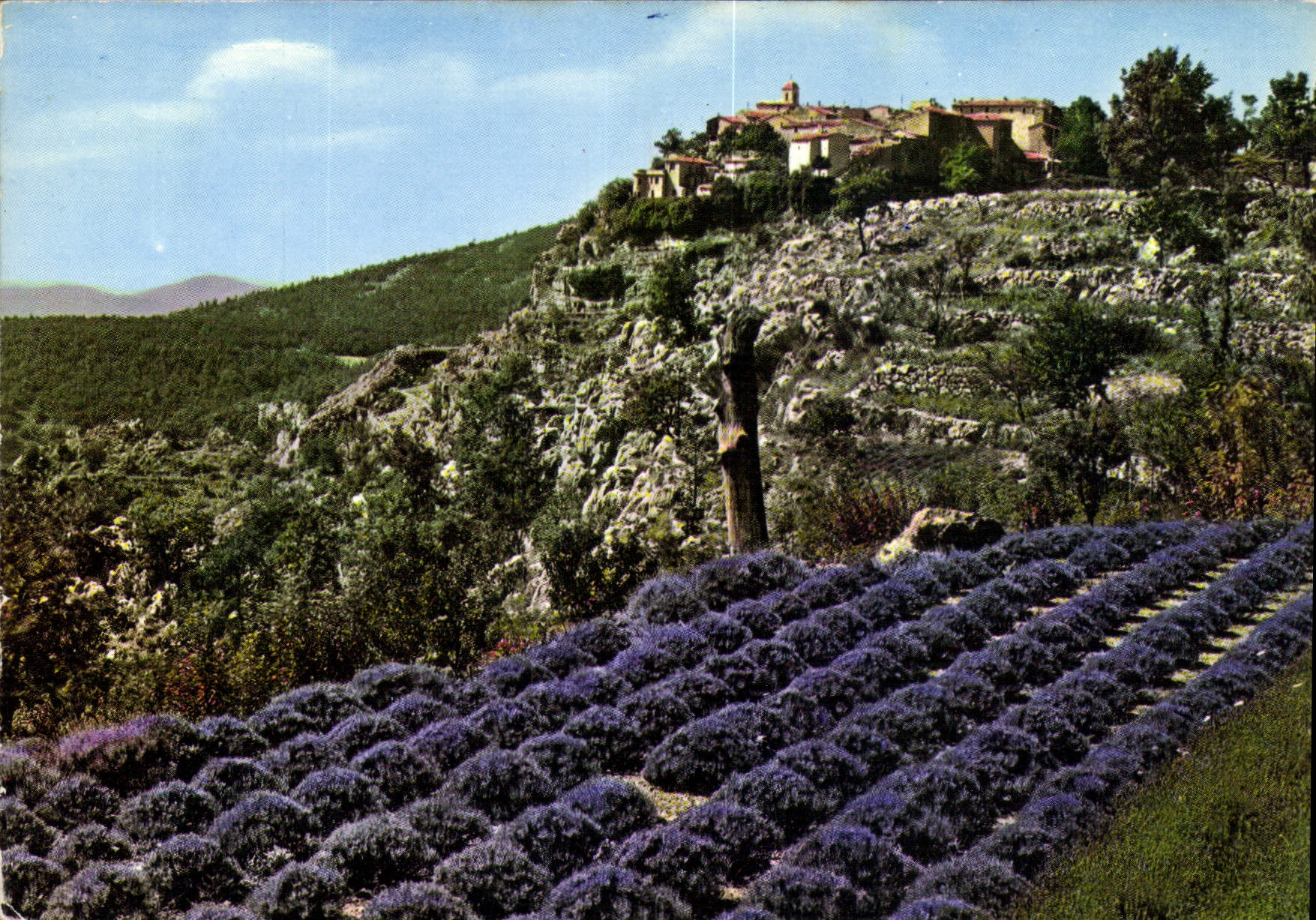 Gourdon - Côte d'Azur (Alt. 760 m.) — Le vieux village — Éditions GILLETTE - COULEUR NATURELLE