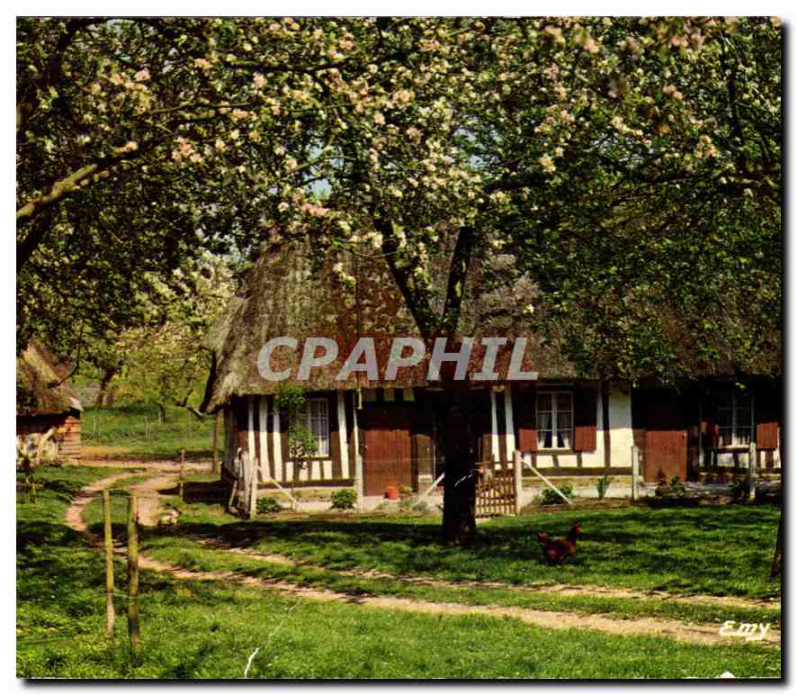 CPM La Normandie Pittoresque Chaumiere Normande au Printemps 