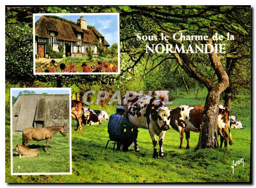 CPM La Luxuriante Normandie Chaumieres Normandes Chevaux dans les Haras 
