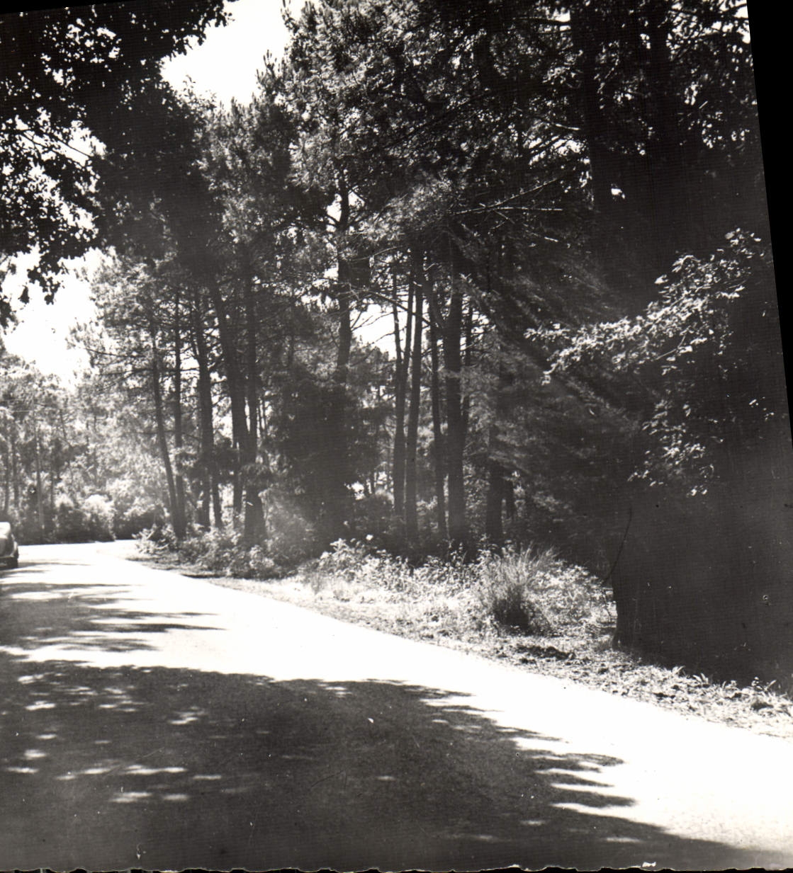 CPM Les Rochelets par Saint Brevin Loire Inf Route forestiere 