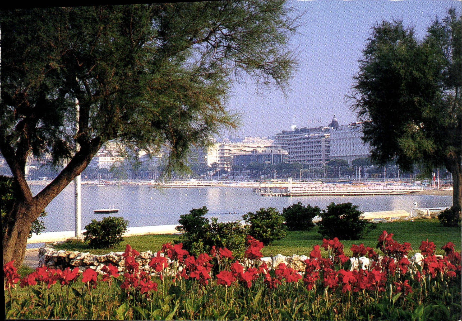 CPM Cannes Alpes Maritimes Promenade autour de la Croisette 
