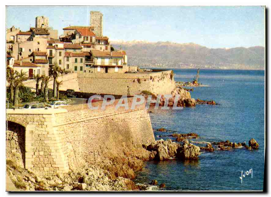 CPM Couleurs et lumiere de France la Cote d'Azur miracle de la nature Antibes Alpes Maritimes la vie