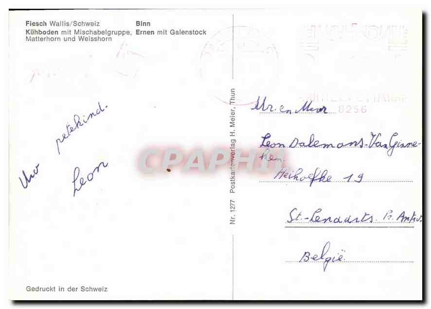 CPM Fiesch Wallis Schweiz Kuhboden mit Mischabelgruppe  — Back