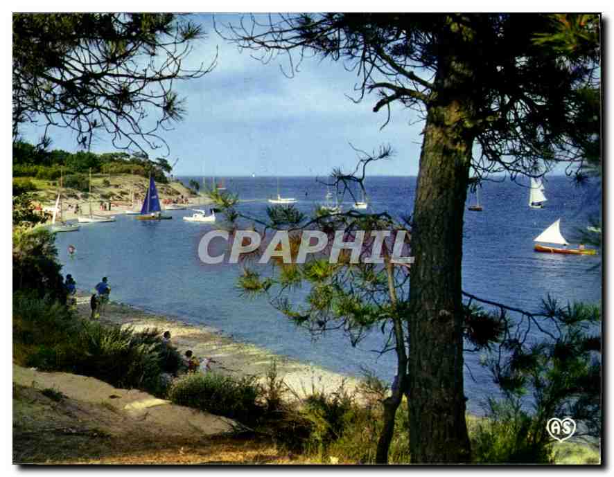 CPM Ile de Re Charente Maritime les portes le Fier 