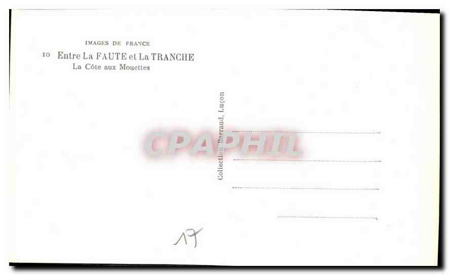 CPM Images de France Entre la Faute et la Tranche la Cote aux Mouettes  — Rückseite