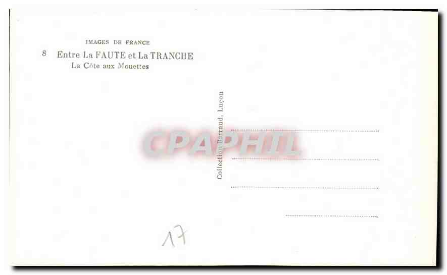 CPM Images de France Entre la Faute et la Tranche la Cote aux Mouettes  — Verso