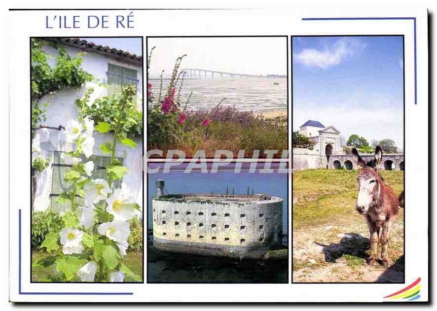 CPM Images de France Charente Maritime l'Ile de Re la Blanche couleur et chrme de l'ile 