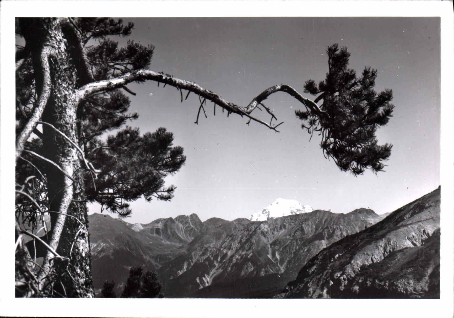 Vue de Süssom Gygé, Ofenbergpasshöhe — 2155 m. — Phot. R. Grass, Zernez